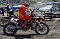 ROB_2614 (Copy)